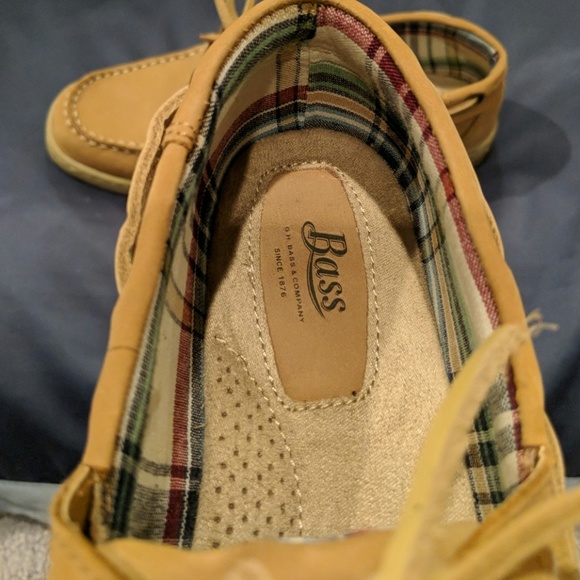 Bass - Picture 4 of 4